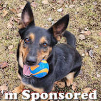 Thumbnail photo of Lola #1