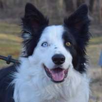 Thumbnail photo of Nelson #2