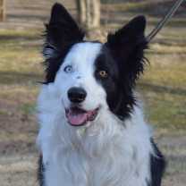 Thumbnail photo of Nelson #3