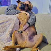 Thumbnail photo of Neo (in foster) #2