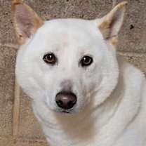 Thumbnail photo of Missy #2