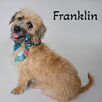 Thumbnail photo of Franklin #2