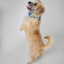 Thumbnail photo of Franklin #3