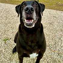 Thumbnail photo of Cash #3