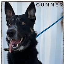 Thumbnail photo of GUNNER #2