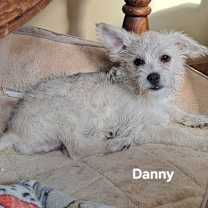 Thumbnail photo of Danny #3