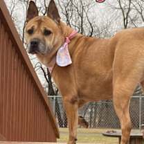 Thumbnail photo of Lilly #2