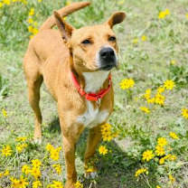 Thumbnail photo of Kiwi 4-9-22 #2
