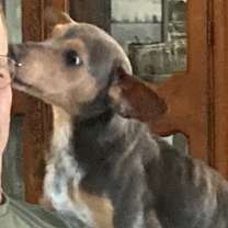 Thumbnail photo of Flint #2