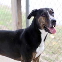 Thumbnail photo of Brady #3