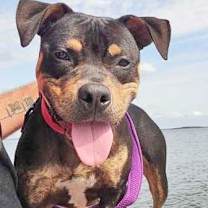 Thumbnail photo of Remi #3