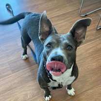 Thumbnail photo of Layla* #2