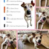 Thumbnail photo of LULU #3