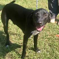 Thumbnail photo of Tate #3