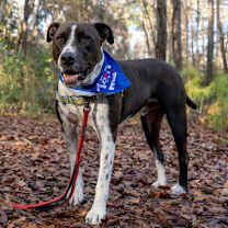 Thumbnail photo of Jack #2