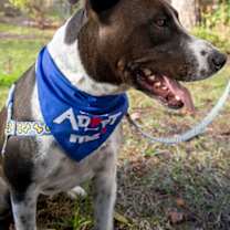 Thumbnail photo of Jack #3