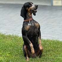 Thumbnail photo of RORI #2