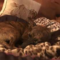 Thumbnail photo of Klaus #2