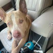 Thumbnail photo of Etta #2