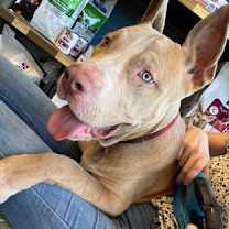 Thumbnail photo of Etta #3