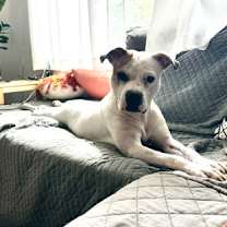Thumbnail photo of Marsha #2