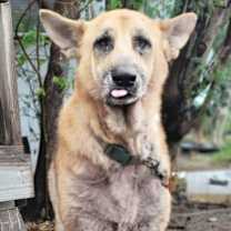 Thumbnail photo of Ranger #2