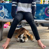 Thumbnail photo of Sam #2