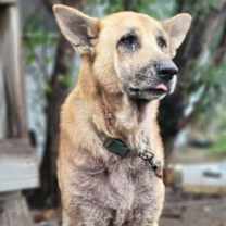 Thumbnail photo of Ranger #3