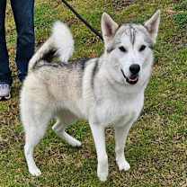 Thumbnail photo of Maya #4