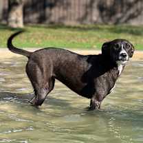 Thumbnail photo of Grace #1