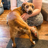 Thumbnail photo of Emmett #2