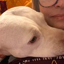 Thumbnail photo of Adeline aka Addie #4