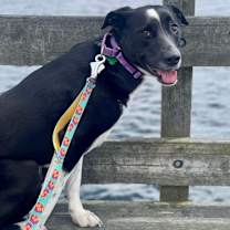 Thumbnail photo of Jersey - LOCAL #3