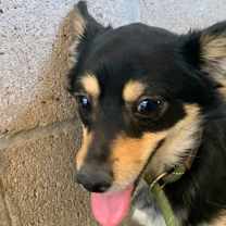 Thumbnail photo of 160822 Jack #2