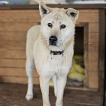 Thumbnail photo of Dooly #1