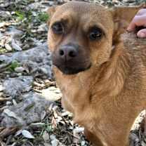 Thumbnail photo of Sweet Boy #1