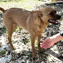 Thumbnail photo of Sweet Boy #3