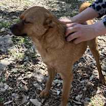 Thumbnail photo of Sweet Boy #4