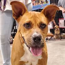 Thumbnail photo of Gracie Belle JuM* #3