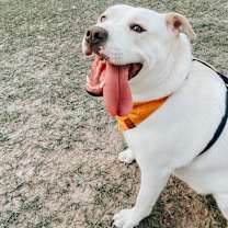 Thumbnail photo of Mabel #2