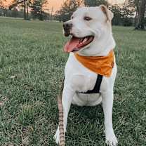Thumbnail photo of Mabel #4