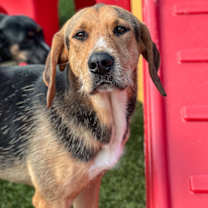 Thumbnail photo of Mason #1