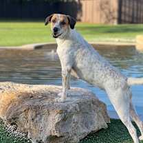 Thumbnail photo of Keller #1
