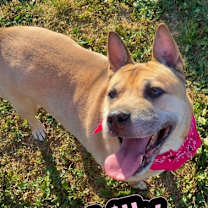 Thumbnail photo of Lilly #3