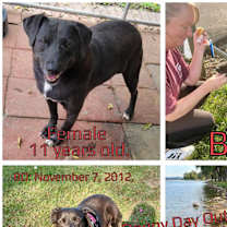 Thumbnail photo of Bella #2