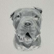 Thumbnail photo of Whisper #3