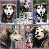 Thumbnail photo of Kiara #3