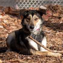 Thumbnail photo of Kiara #4