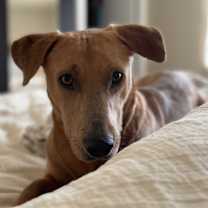 Thumbnail photo of Tater #3