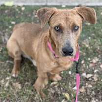 Thumbnail photo of Tater #2